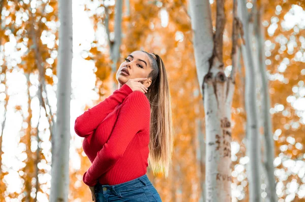 Retrato Hermosa Mujer Joven Suéter Rojo Posando —  Fotos de Stock