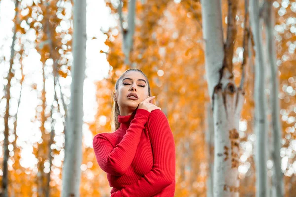 Portrait Beautiful Young Woman Red Sweater Posing — Stock Photo, Image