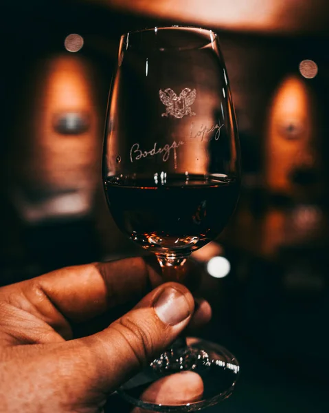 Man Med Ett Glas Vin Och Flaska Whisky — Stockfoto