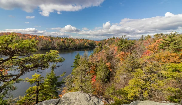 Scenic Shot River Goes Autumn Minnewaska State Park Usa — Stockfoto