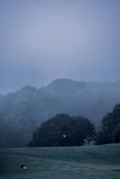 Beautiful Shot Mountainous Landscape Evening — Stock Fotó