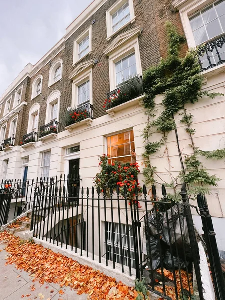 Білий Будинок Зеленими Рослинами Червоними Квітами Вулицях Лондона Велика Британія — стокове фото