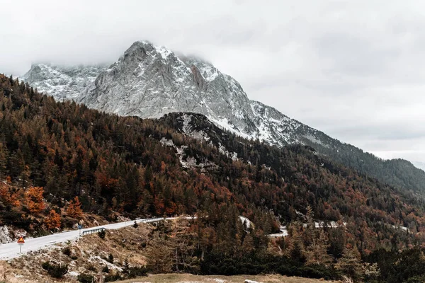 山の中に雪に覆われた木々が美しい風景 — ストック写真
