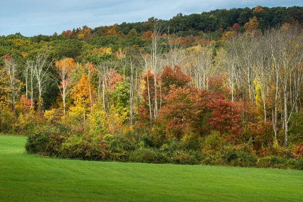 Prachtig Kleurrijk Herfstlandschap — Stockfoto