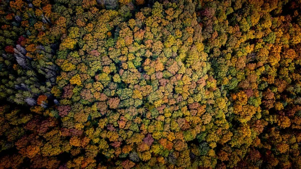 Μια Εναέρια Άποψη Των Πολύχρωμων Δασών Βουνά Φθινόπωρο — Φωτογραφία Αρχείου