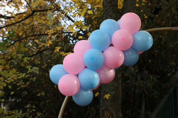 Eine Partei Die Das Geschlecht Offenbart Blaue Und Rosa Luftballons — Stockfoto