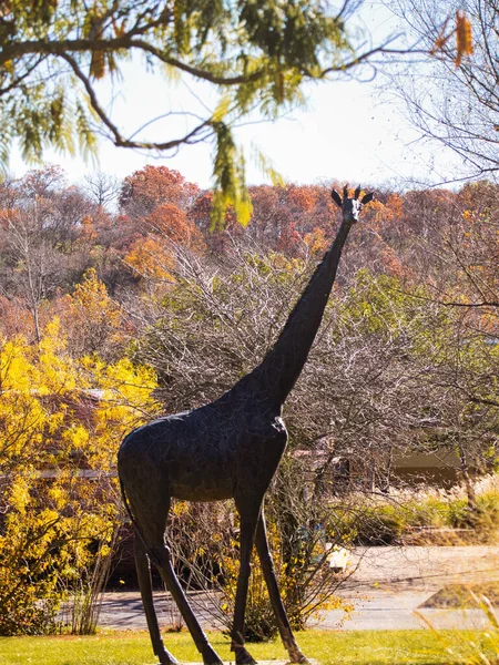 Kansas City United States Nov 2021 Vertical Shot Giraffe Statue — Fotografia de Stock