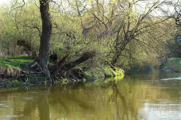 公園内の川の美しい景色 — ストック写真