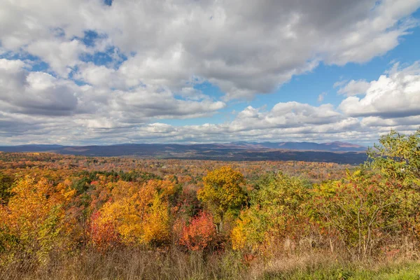 Scenic Shot Autumn Forest Cloudy Day Minnewaska State Park Kerhonkson — 스톡 사진