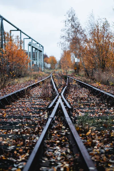Железнодорожные Пути Железнодорожном Пути — стоковое фото