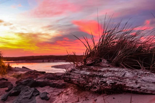 Close Shot Piece Wood Grass Beach Magnificent Sunset Background — Stock Photo, Image