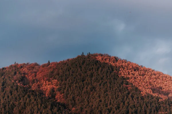 Mesmerizing Mountainous Landscape Autumn — Stok fotoğraf