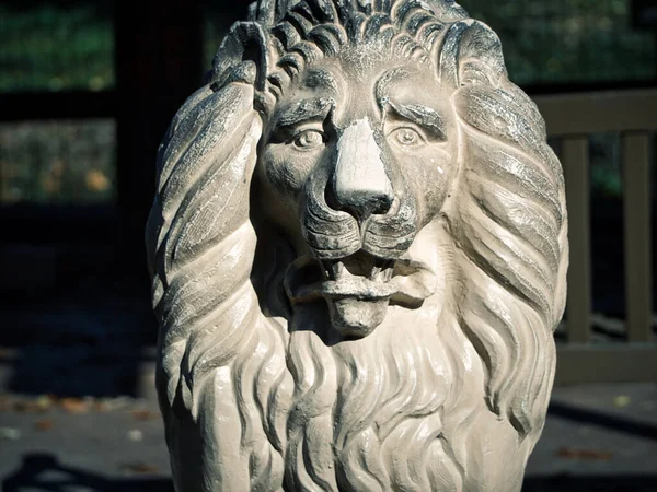 Kansas City United States Nov 2021 Closeup Shot Lion Sculpture — Fotografia de Stock