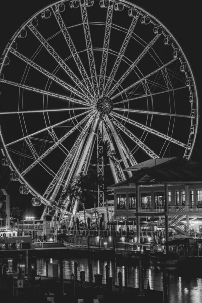 Grayscale Big Ferris Wheel Park Night Sky Background — Stock Photo, Image