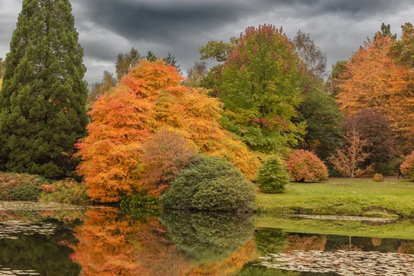 Uma Bela Vista Das Árvores Coloridas Sob Céu Tempestuoso Sheffield — Fotografia de Stock