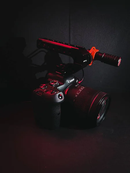 Fort Lauderdale United States Nov 2021 Vertical Shot Canon Eos — Stockfoto