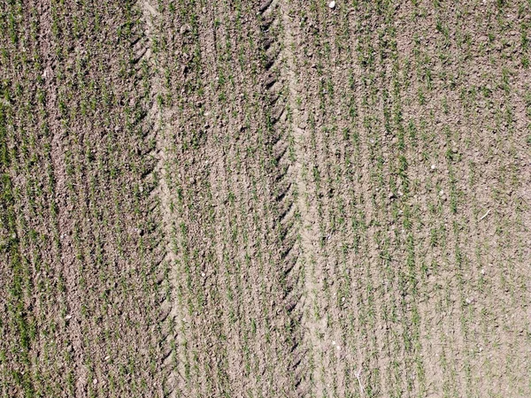 Aerial View Cultivated Field — Φωτογραφία Αρχείου