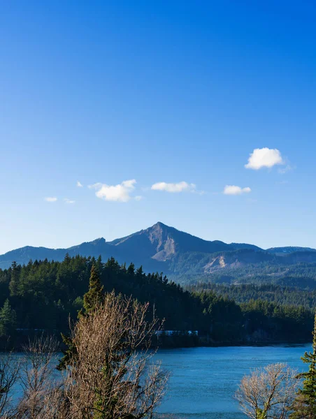 Vertical Shot Red Bluffs Cascade Locks Oregon Usa — Stok Foto