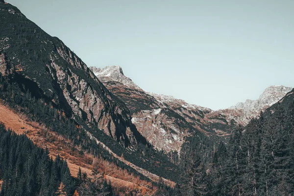 Die Schönen Landschaften Und Felder Des Holzgau Lechtal Österreich Stimmungsvollen — Stockfoto