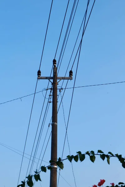 電線がそれに接続されている電柱の傾斜ショットとその下に枝を植えます — ストック写真