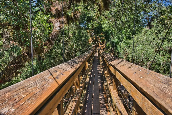 Vista Del Parque Madera Suspensión — Foto de Stock