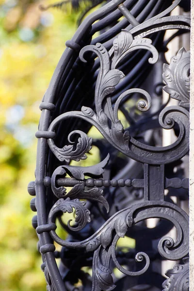 Vertikální Snímek Detailu Tepaného Železného Plotu Okna Mnichov Německo — Stock fotografie