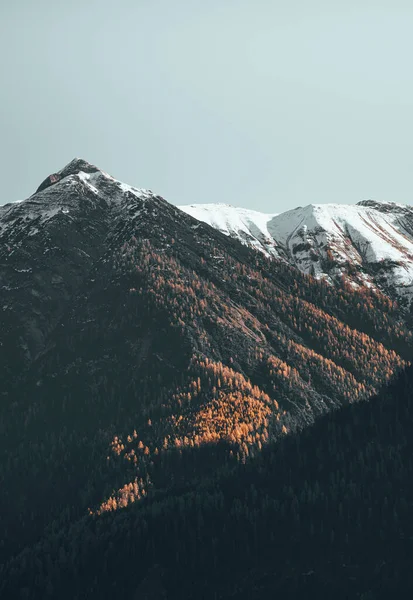 Los Hermosos Paisajes Campos Holzgau Lechtal Austria Colores Malhumorados —  Fotos de Stock