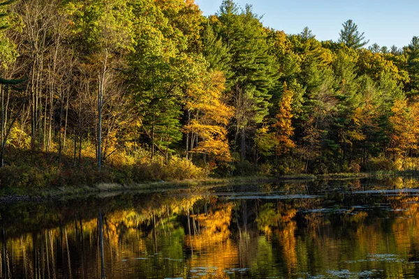 Podzimní Krajina Stromy Jezerem — Stock fotografie