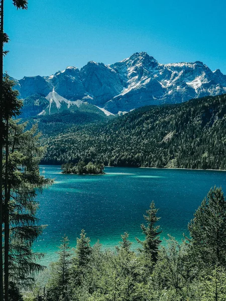 Fascinerande Bild Sjön Mitt Skogen — Stockfoto