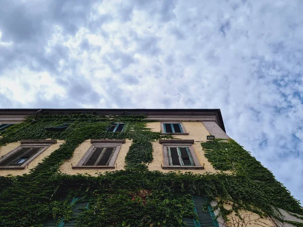 トスカーナのツタ リボルノで覆われた建物の詳細 — ストック写真