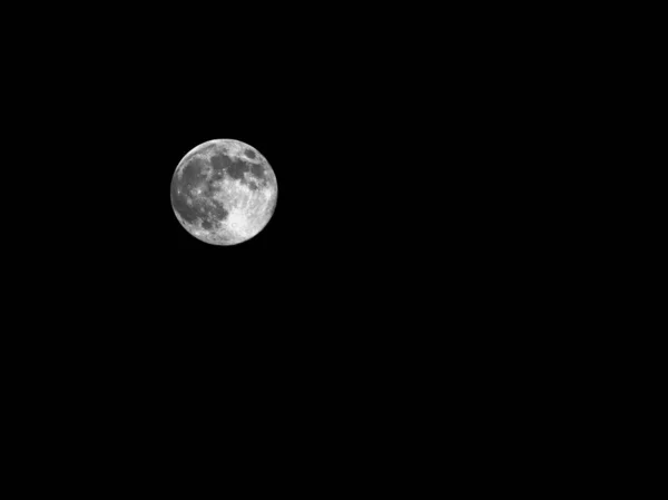 Bulan Langit Malam — Stok Foto