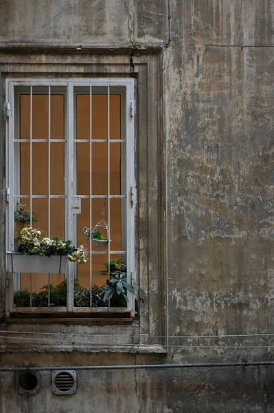 Beautiful View Old Window Flowers Weathered Wall Rome Italy — Photo