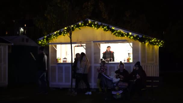 Beelden Van Kerstversieringen Straat — Stockvideo