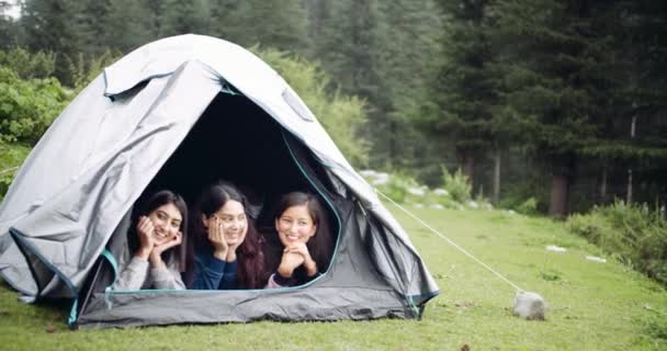 Kelompok Perempuan Teman Teman Hiking Hutan — Stok Video