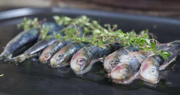 Närbilder Makrill Grill Med Grönt — Stockvideo