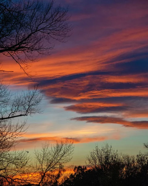 Der Farbenfrohe Abendhimmel Über Den Silhouetten Der Bäume — Stockfoto
