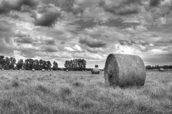 Een Griezelig Landschap Van Hooibergen Een Landbouwveld Een Bewolkte Dag — Stockfoto