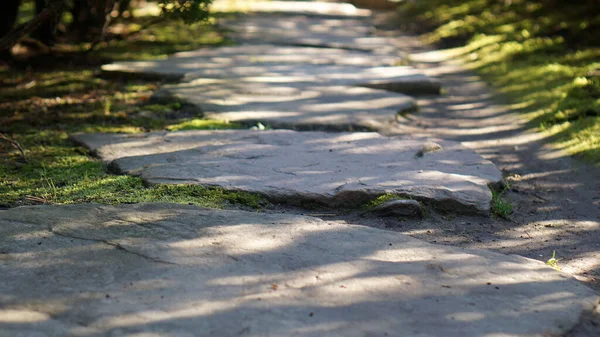 Nahaufnahme Eines Trittsteinpfades Einem Park Aus Steinen — Stockfoto