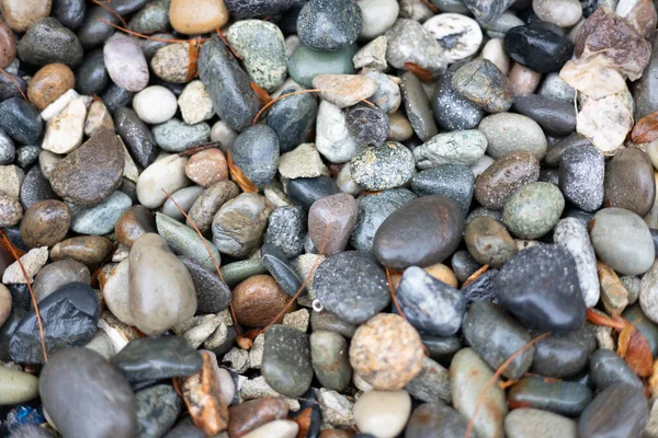 Una Vista Superior Pequeñas Piedras Playa Diferentes Formas Colores —  Fotos de Stock