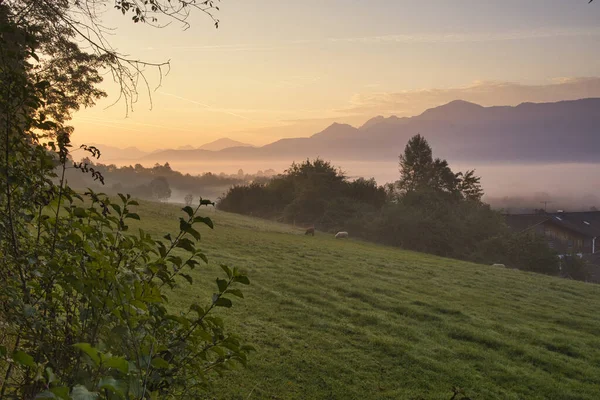 Almanya Bavyera Murnau Nun Doğal Bir Manzarası — Stok fotoğraf