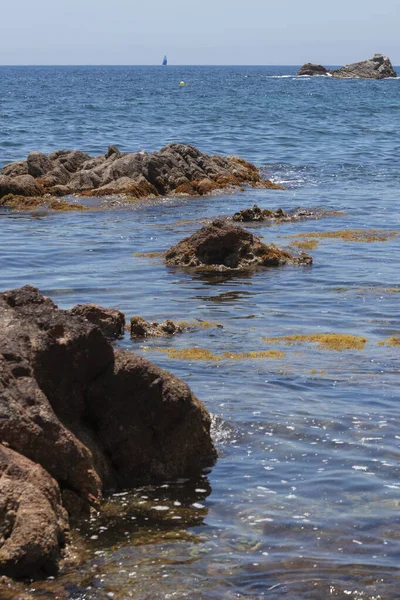 Una Splendida Vista Sul Mare Ondulato Roccioso Sulla Costa — Foto Stock