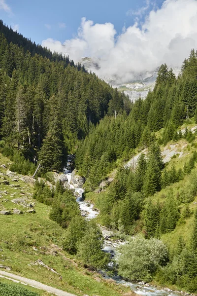 Una Hermosa Vista Arroyo Que Corre Través Naturaleza Suiza Rodeado —  Fotos de Stock