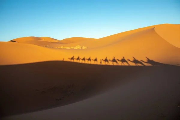 Natural Landscape Caravan Passing Desert — Foto de Stock
