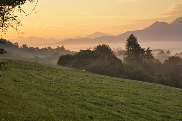 Natural Landscape Murnau Bavaria Germany Sunrise — 스톡 사진