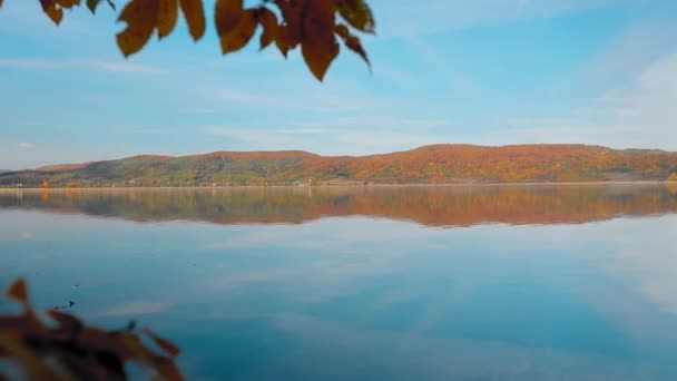 Beautiful Landscape Lake Background — Stock Video