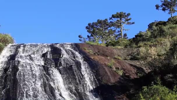 Hermosa Cascada Bosque — Vídeo de stock