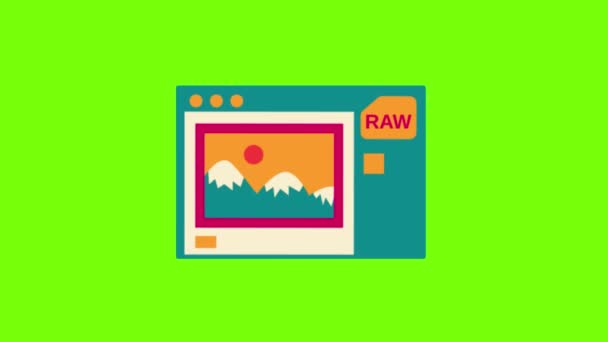 Raw Image Editor Green Screen Animation Vfx — стоковое видео