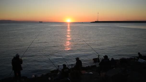 Gyönyörű Felvétel Halászokról Öbölben Esténként — Stock videók