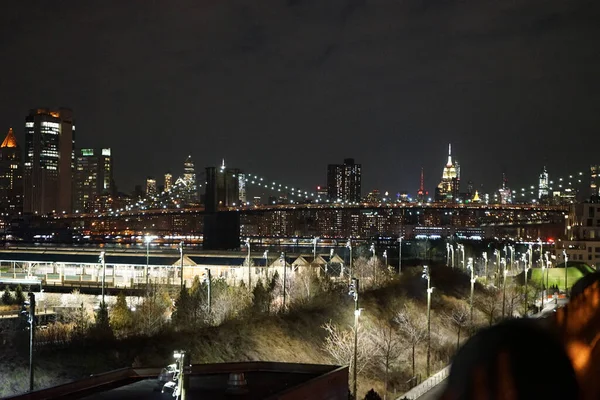 New York City United States Feb 2019 Beauitful Night View —  Fotos de Stock