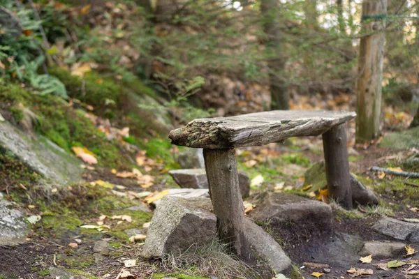 Primer Plano Viejo Asiento Madera Vacío Medio Bosque Durante Día — Foto de Stock